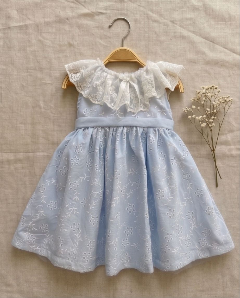 Embroidered Ruffle Blue Dress